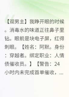 人情债催收员:我专收恶人的债小说(完整版)-阿野赵坤王大海章节阅读