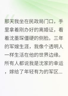 好看的军嫂不当了,首长追妻火葬场小说,主角沈墨琛晚晴最新章节阅读-英驰看书网