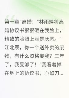 为了真爱送外卖妻子嫌我穷要分手主角是林雨婷王美琴江北辰小说百度云全文完整版阅读