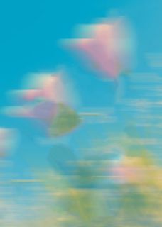 何丽陈雄王红全文小说最新章节阅读何丽陈雄王红