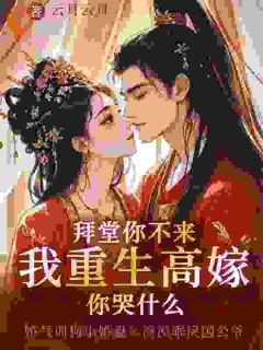 好文热推小说拜堂你不来,我重生高嫁你哭什么主角叶明珠盛云彻全文在线阅读