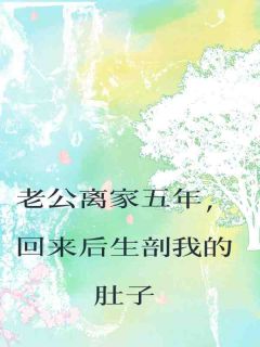 抖音热推小说老公离家五年,回来后生剖我的肚子全文在线阅读-英驰看书网