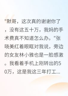 装穷被骗,我百亿资产让她们绝望小说林小雅张晓美陈总最新章节阅读-英驰看书网