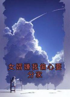 女婿嫌我偏心要分家小说好看吗 李军王秀秀最后结局如何