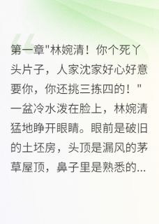 军嫂转身带走千万资产我后悔了林婉清沈毅轩军嫂转身带走千万资产我后悔了全文免费阅读【完整章节】-英驰看书网