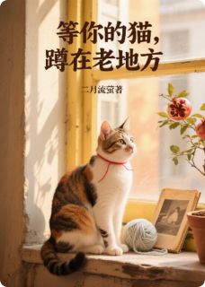 等你的猫,蹲在老地方抖音全本小说毛线球石榴树抖音免费章节阅读