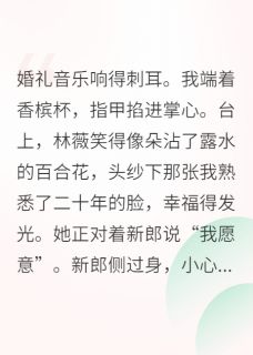 闺蜜误嫁给我前夫后林薇陈诚小说完整在线阅读