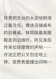 许池林简全文阅读最新 许池林简小说目录