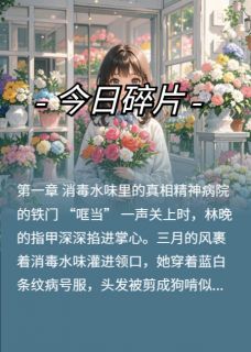 被渣男送进精神病院后小说好看吗 林晚赵兰陈子墨最后结局如何