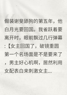 当舔狗能拿五百万?这活我接了(雾喜喜)最佳创作小说全文在线阅读