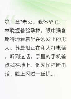 老公出轨闺蜜我装傻三年林晚苏晨阳许雯雯-小说未删减阅读