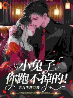 抖音小说小兔子,你跑不掉的!主角尹时熙厉九骁全文小说免费阅读