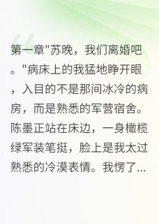 爆款小说前夫白月光失宠,求我救他仕途主角陈墨苏晚白羽全文在线完本阅读
