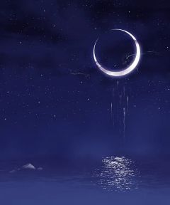 谢宴行阮初夏主角的小说完结版槐安落尽花开全集