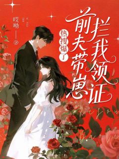 热搜爆了，前夫带崽拦我领证小说全章节目录阅读BY哎呦完结版阅读-英驰看书网
