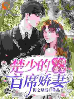 抖音爆款先婚后爱!高冷军官他宠妻上头完整小说(全文阅读)