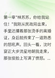 沈时宴苏苏是哪部小说的主角 离婚当天,竹马带聘礼抢我回大院全文无弹窗