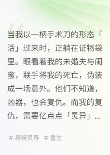 值得熬夜看完的凶器，请多指教小说阅读