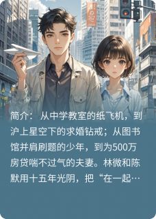 纸飞机掠过的城小说好看吗 林微陈默最后结局如何