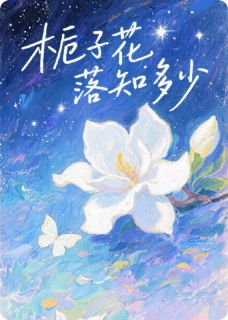 (抖音小说)周屿林栀小说全文阅读免费