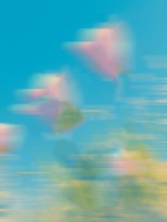 全村被灭后,我成了那个凶手方志进快递员方伟免费阅读-全村被灭后,我成了那个凶手葫芦溪小说