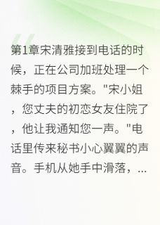 宋清雅叶致远爱你如初恨你入骨全章节免费阅读-英驰看书网