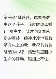 值得熬夜看完的首长老公不想要二胎，我带娃离开小说阅读