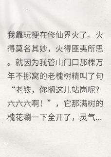 抖音爆款在修仙界玩梗走红小说免费阅读