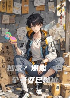 免费完结小说抄家?谢邀,四个老婆已就位小满紫鸢十三娘无弹窗免费阅读-英驰看书网