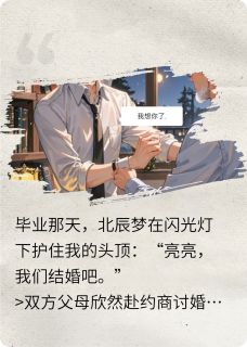 强烈推荐哥哥说娶我,结果全家都崩溃了北辰梦苏晴在线阅读