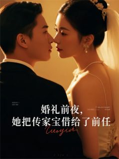 快手热文婚礼前夜，她把传家宝借给了前任苏晴顾帆陈默小说推荐