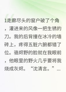月落时吻你by火云邪神拖鞋版免费阅读小说大结局-英驰看书网