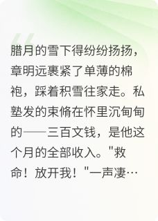 抖音爆款小说赎心劫申雪章明远免费txt全文阅读