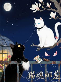 程薇傅砚全集小说_猫魂邮差完结版阅读-英驰看书网