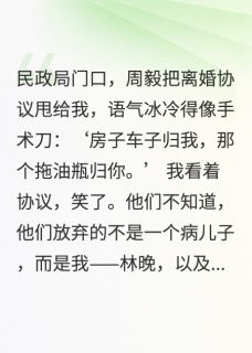 离婚协议:房产归他,病儿归我周毅乐乐陈伯-胡小迁小说-英驰看书网
