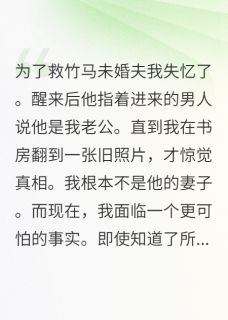 陆时砚江景然是什么小说免费版阅读抖音热文-英驰看书网
