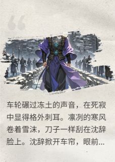 无广告小说边陲迷局，雪域孤城-沈辞魏雄在线阅读