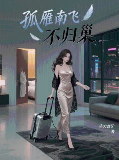 孤雁南飞不归巢小说最后结局,沈书珩周雁棠百度贴吧小说全文免费-英驰看书网