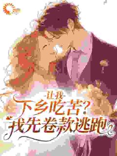 好看的让我下乡吃苦？我先卷款逃跑小说-让我下乡吃苦？我先卷款逃跑最新章节阅读