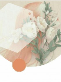 高明远张桂芬主角的小说完结版婆婆说我不下蛋,联合我丈夫把我卖了全集