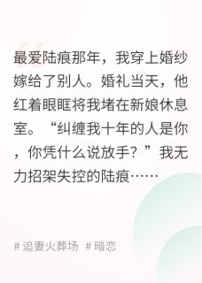 夜来风雨声小说全集(陆晴江暮诺诺)无弹窗广告阅读-英驰看书网