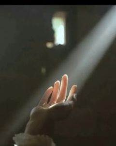 爆款小说由作者思图南所创作的繁华落尽,归来亦是明珠在线阅读