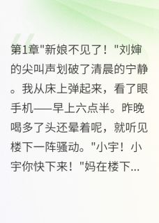 小莉李建小说(那天消失的新娘)_小莉李建小说最新章节-英驰看书网