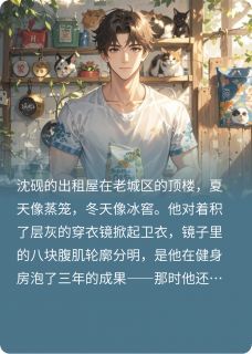 沈砚苏清媛夏晚星小说无广告阅读