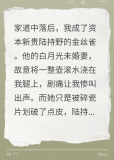 陆持野宋娆唐伊主角的小说完结版他未婚妻用开水泼我，他竟慌了全集