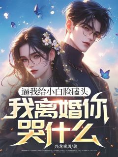 逼我给小白脸磕头,我离婚你哭什么大结局阅读 司锦年季晨小说在线章节