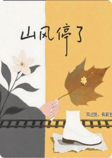 晓燕念念王强小说结局