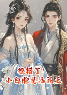 撩错了！小白脸竟是活阎王小说好看吗 萧玦萧珩阿玦最后结局如何-英驰看书网