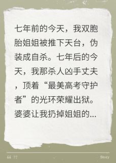 隋宴隋安是哪本小说主角 姐姐忌日,我揭穿了英雄丈夫免费全章节阅读