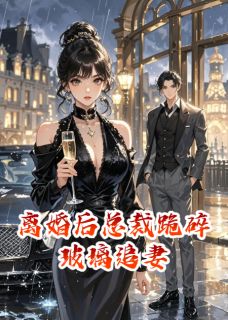 离婚后总裁跪碎玻璃追妻沈聿白江晚星全章节在线阅读-英驰看书网